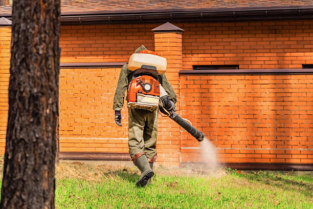 Trusted Termite Control service in Beechwood Trails, OH - Nex Pest Control